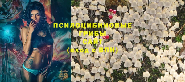дурь Бородино