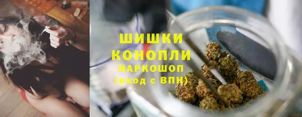 дурь Бородино
