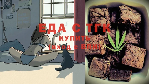 дурь Бородино