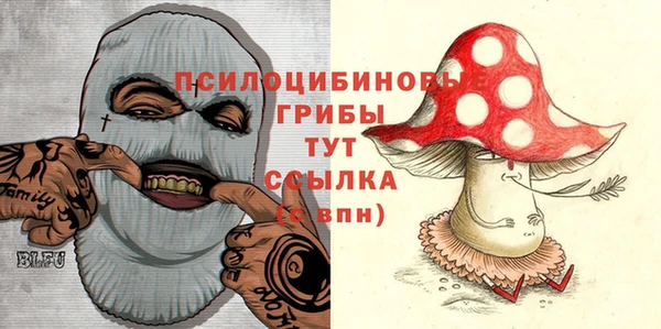 дурь Бородино