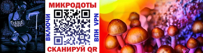 Галлюциногенные грибы MAGIC MUSHROOMS  Сыктывкар 